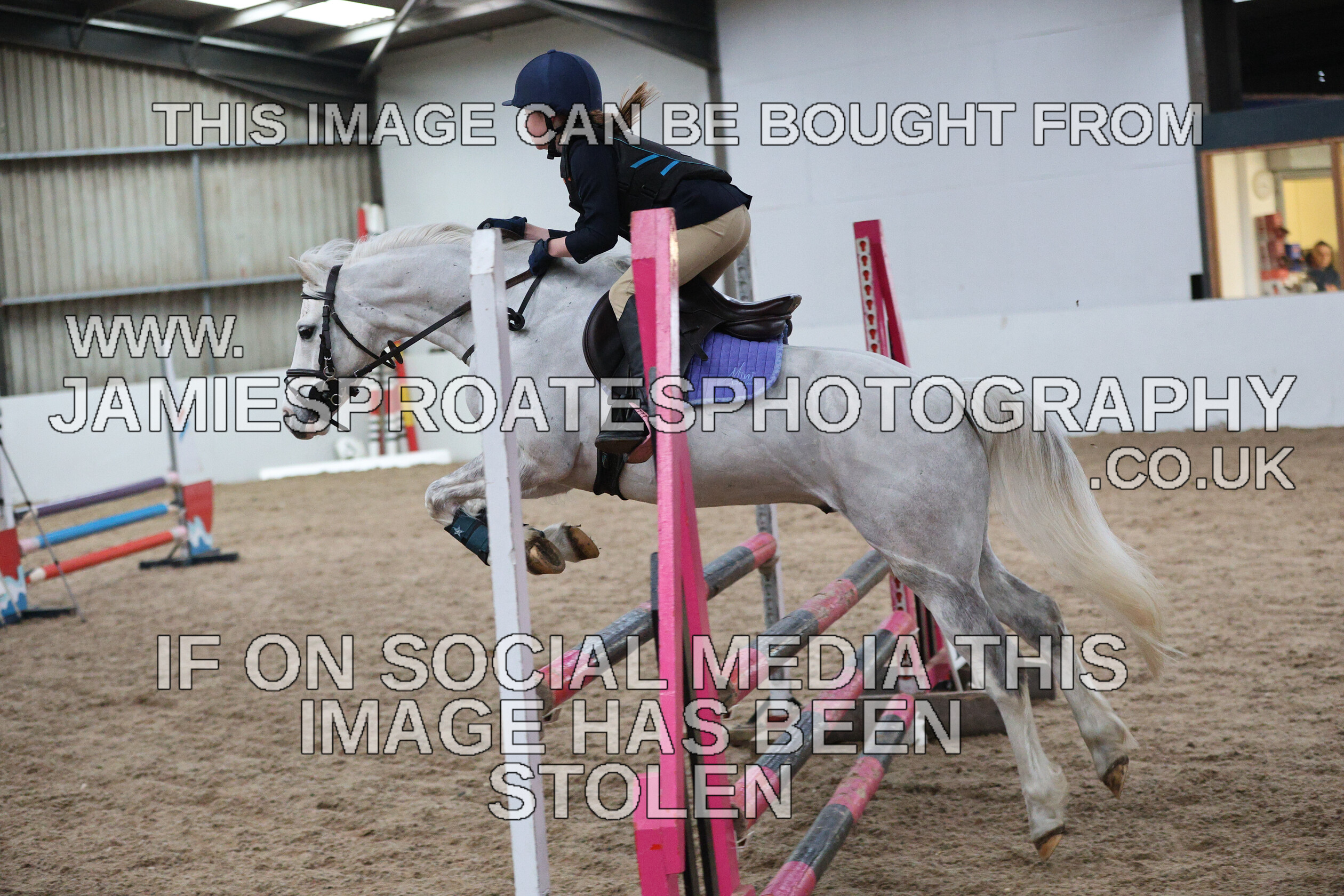 0002 6619 
 Keywords: "jamie sproates photography" showjumping" "holmside""bs"