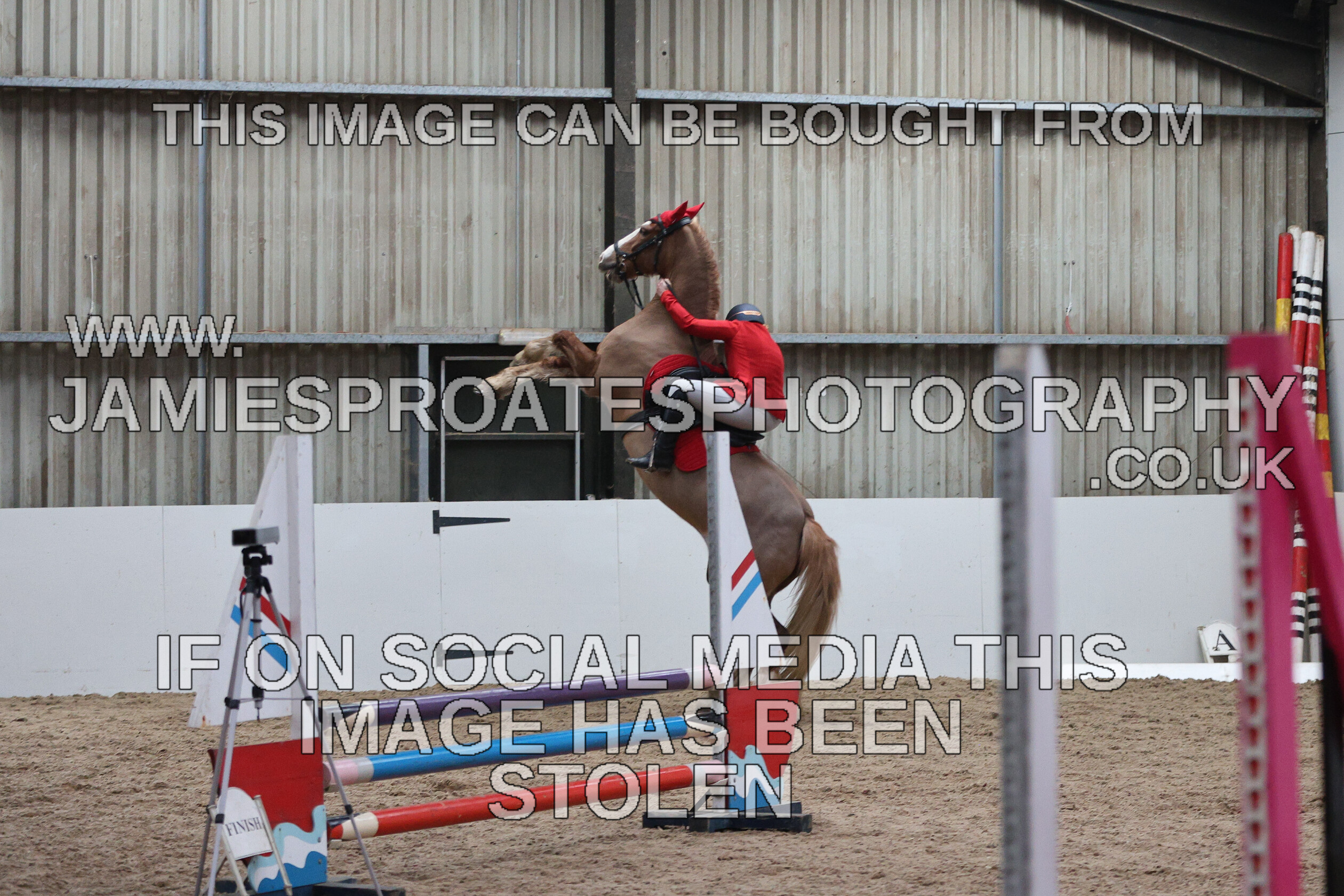 0002 6595 
 Keywords: "jamie sproates photography" showjumping" "holmside""bs"