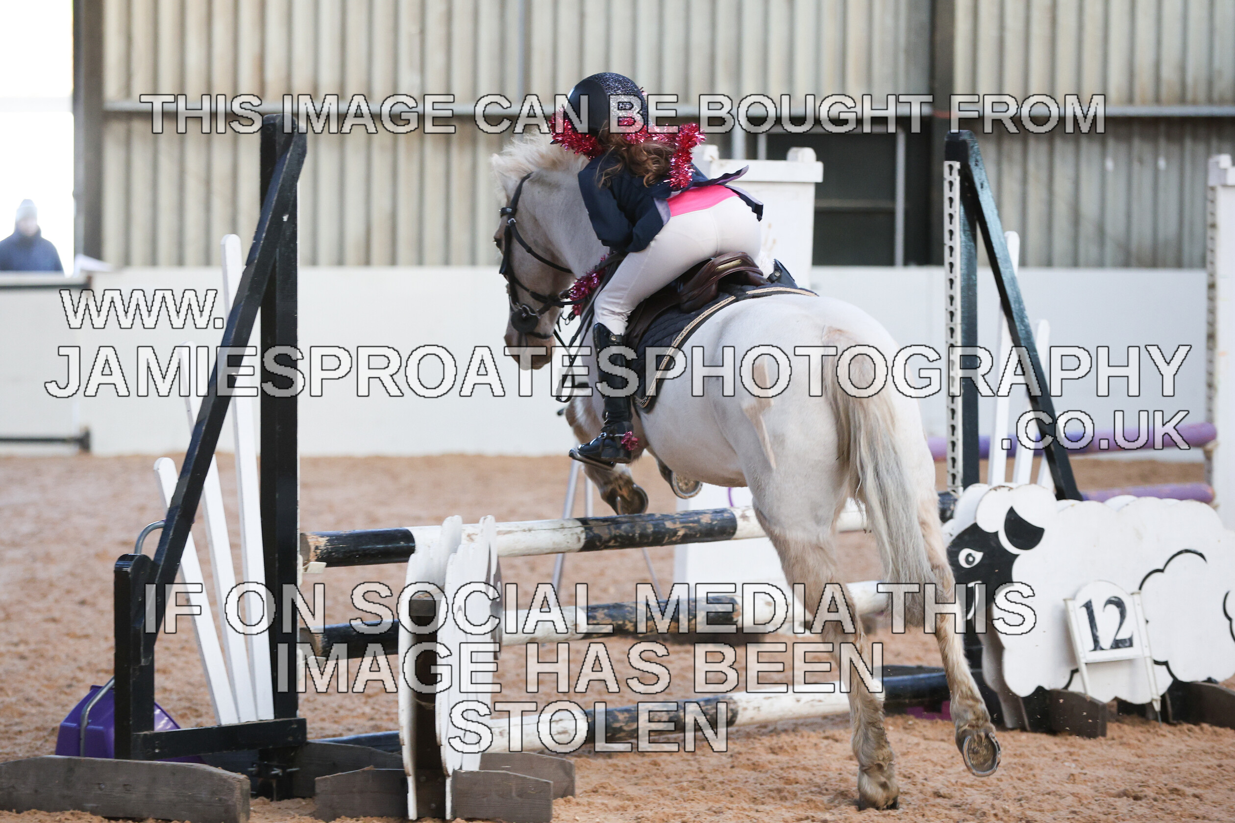 0002 3956 
 Keywords: "jamie sproates photography" showjumping" "holmside"