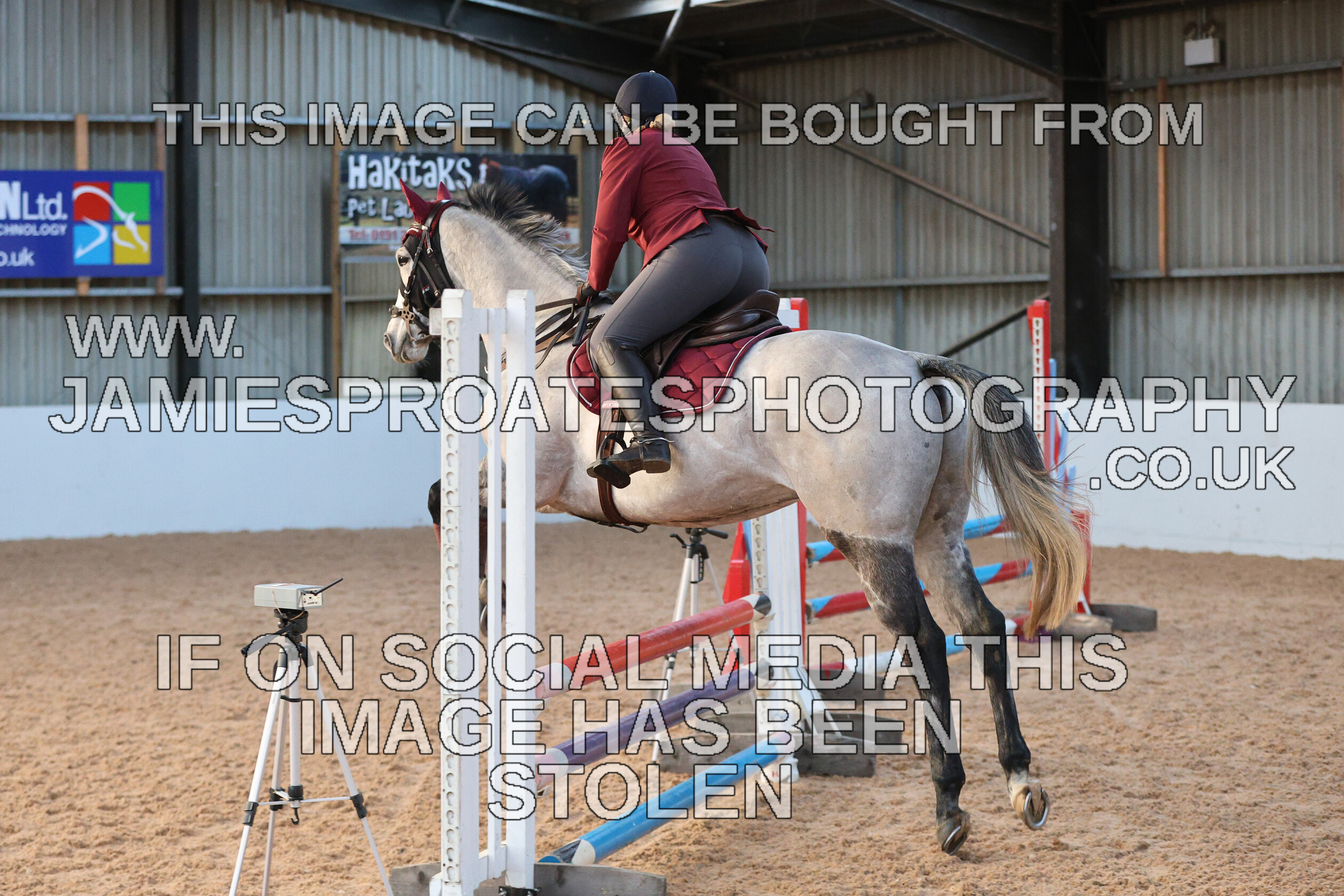 0002 3896 
 Keywords: "jamie sproates photography" showjumping" "holmside"