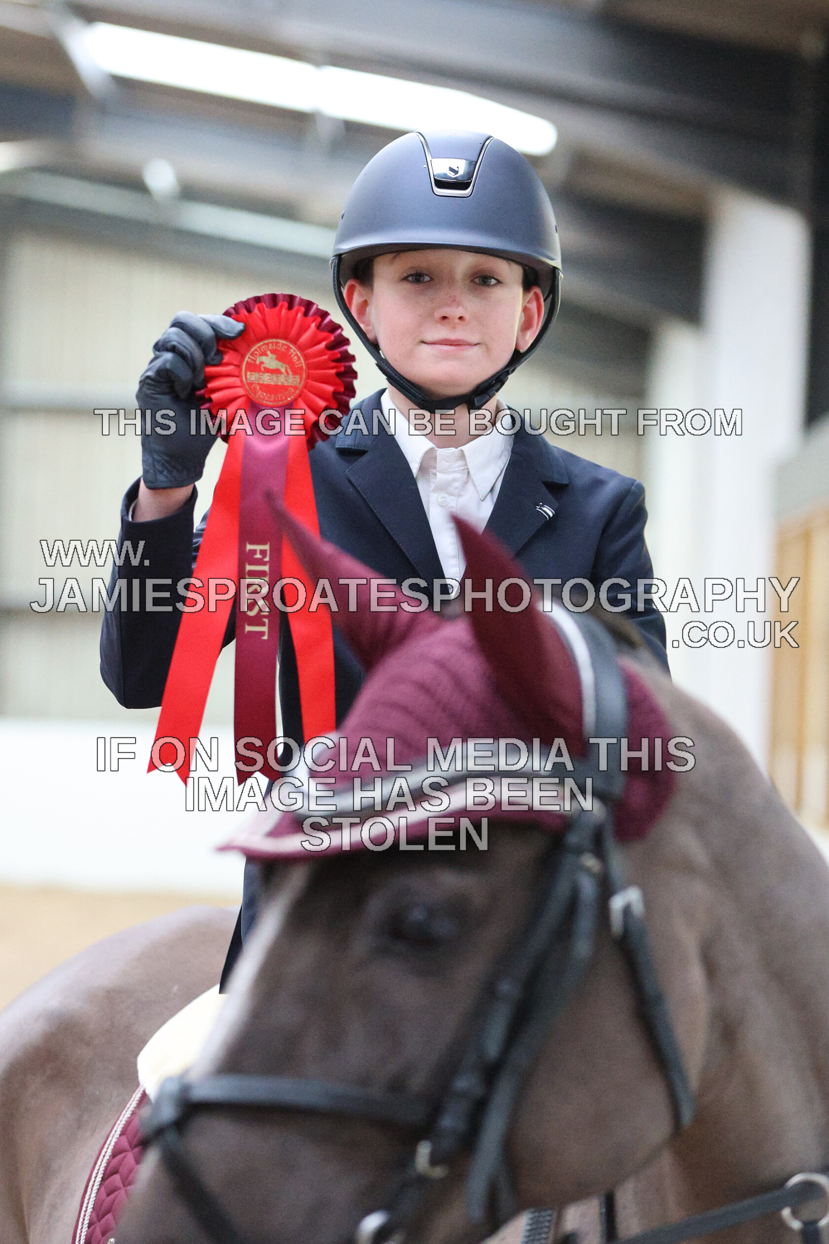 0002 6671 
 Keywords: "jamie sproates photography" showjumping" "holmside""bs"