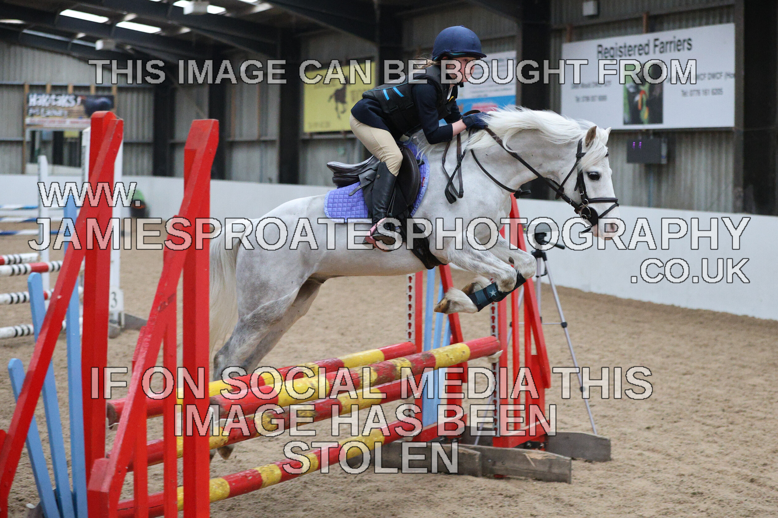 0002 6616 
 Keywords: "jamie sproates photography" showjumping" "holmside""bs"