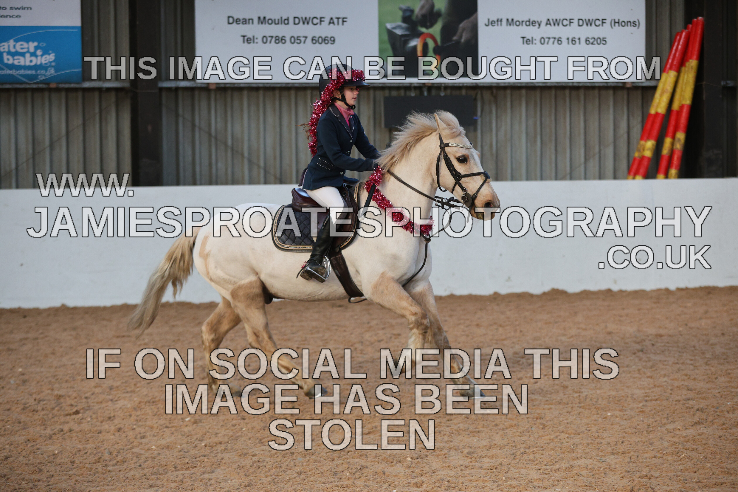 0002 3948 
 Keywords: "jamie sproates photography" showjumping" "holmside"