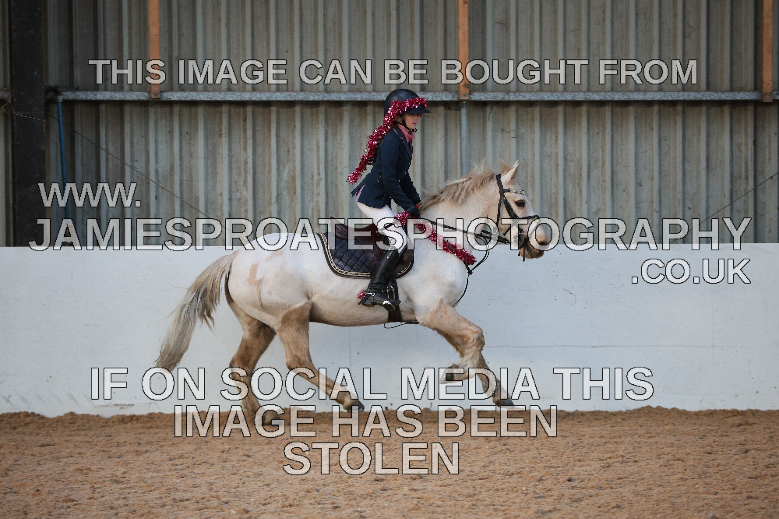 0002 3987 
 Keywords: "jamie sproates photography" showjumping" "holmside"