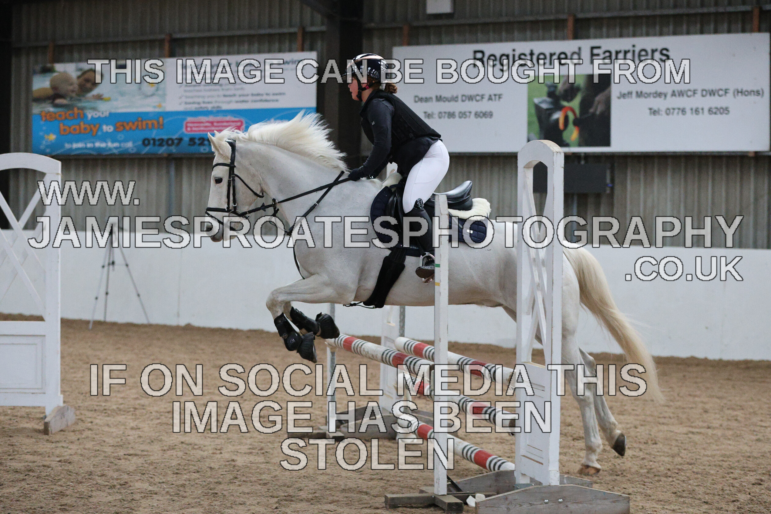 0002 6622 
 Keywords: "jamie sproates photography" showjumping" "holmside""bs"